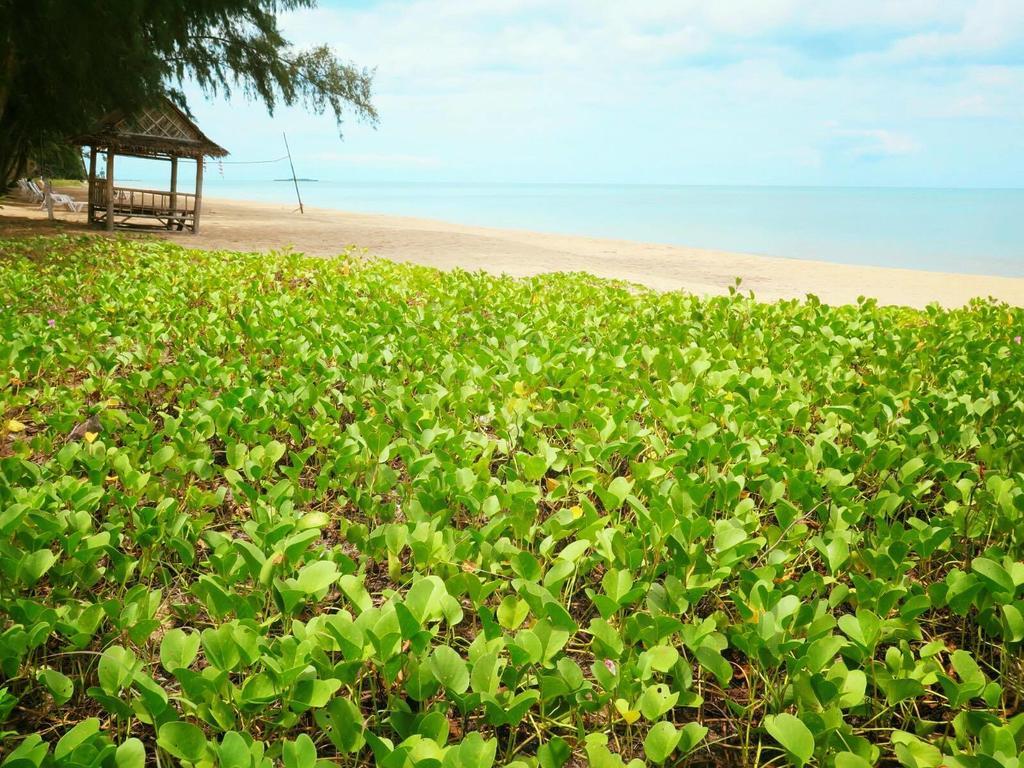 Bayview Beach Resort Банкрут Екстер'єр фото